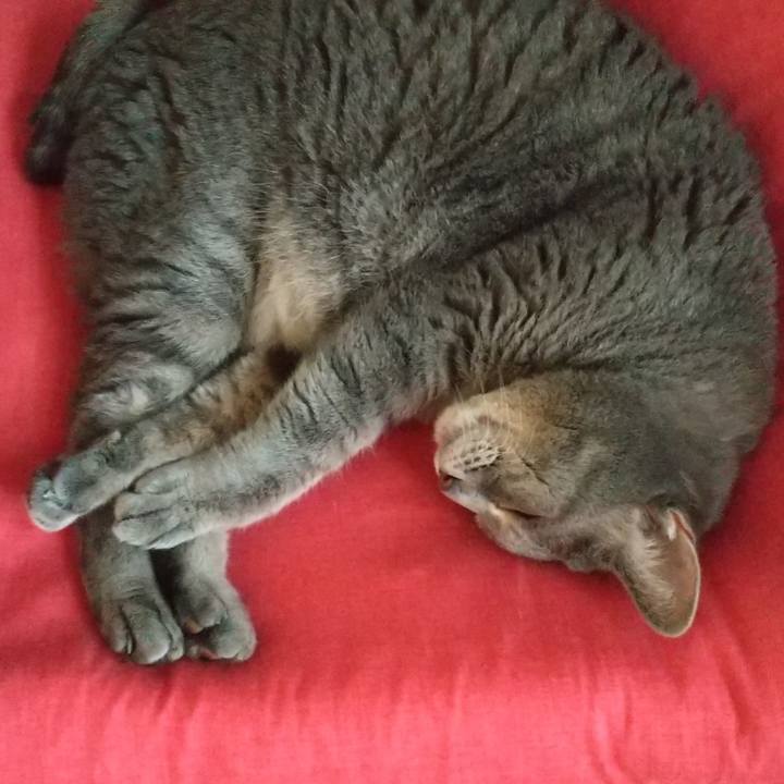 54df2669 36b1 4e27 83b7 2d3983d346e4 1633934985018