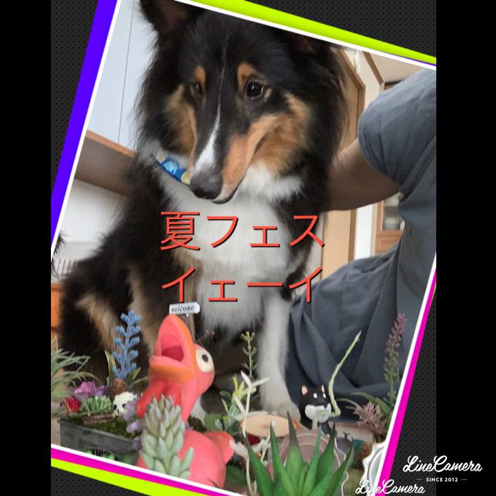 54df51ca fd05 4856 a00b af653efeb7ea 1565497530477