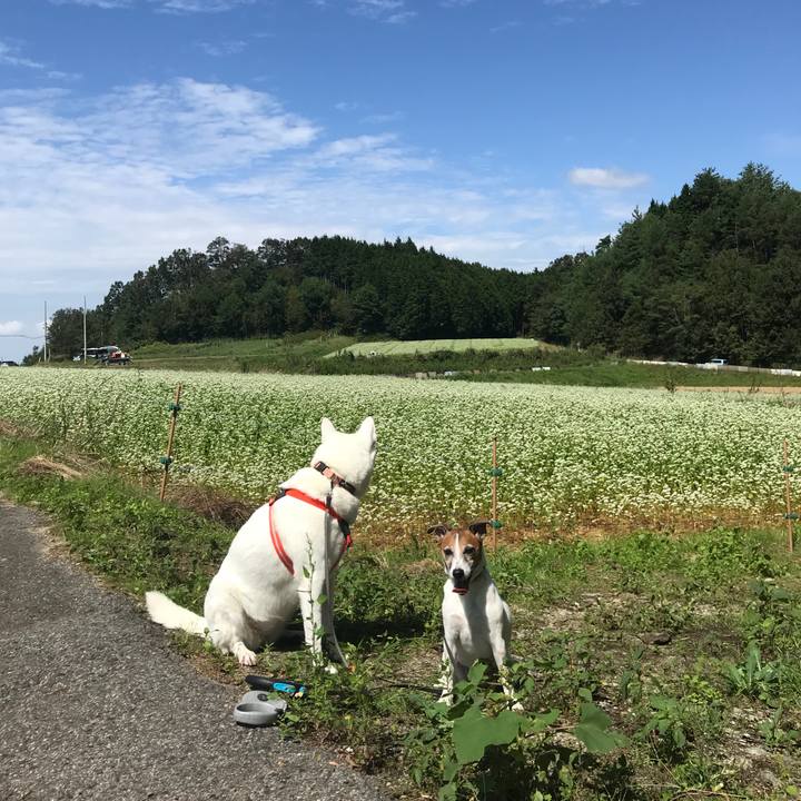 54df6d90 6fc1 4337 bd87 c7276a4a8165 1537685751205