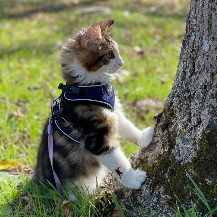 54df73d0 b4da 4167 8ad2 d1c547a38b9f 1635057829086