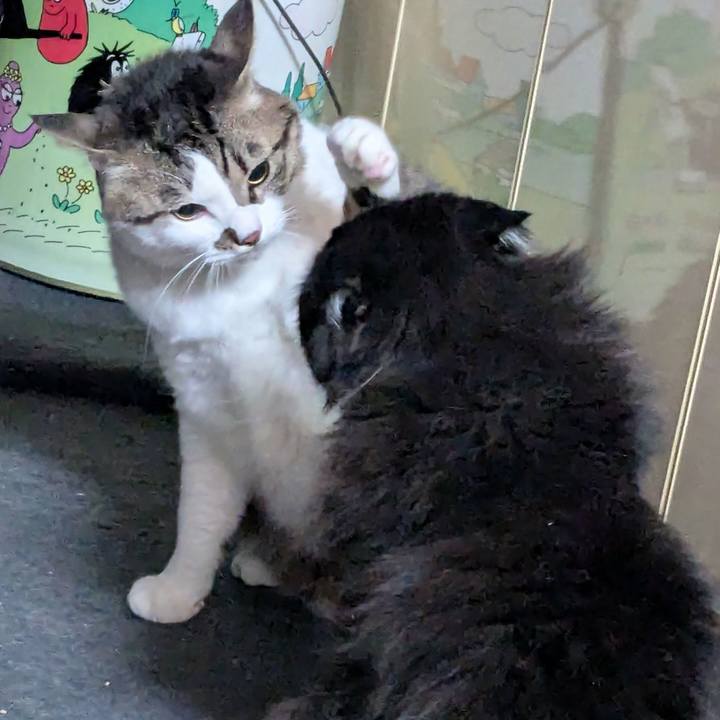 54df7912 0a2e 4a62 a722 040d14381e07 1740785260800