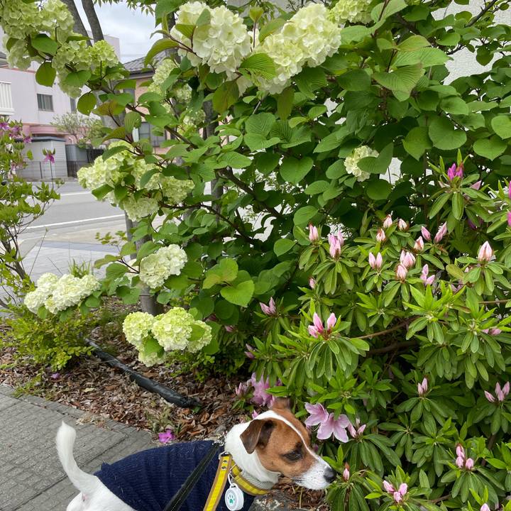 54df87a5 1100 4f8c 9a32 9f33316c6dc3 1651373639283