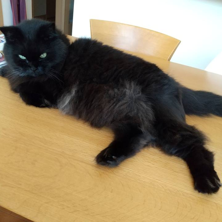 54dfbea8 67b1 4a36 91e1 22df2bf2ab2a 1596339763080