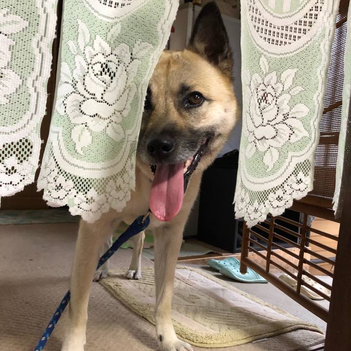 54e01990 1830 4a64 86cc ae30410a24f3 1559562338729