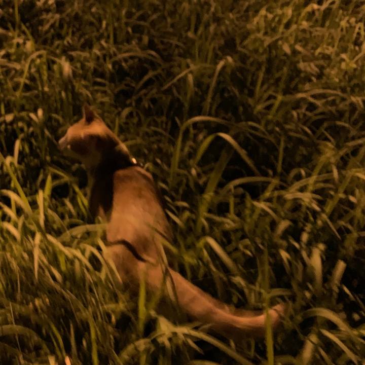 54e02a36 40a8 46b3 b76a 833a3f33d165 1601926057078