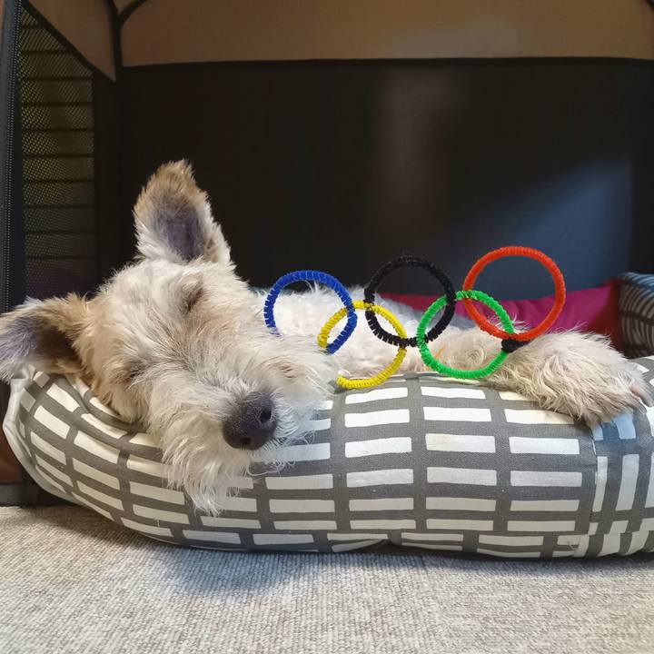 54e0726a fb24 4a85 931c 3eb6681b77d2 1628429590971