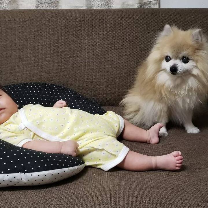 54e083c5 f4af 4203 aeaa c0fdaa7471c9 1695095236675