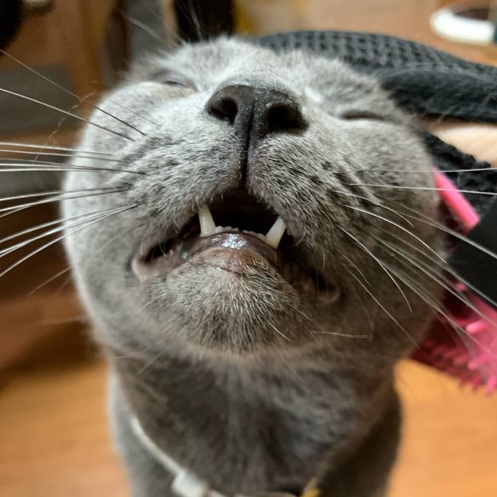 54e085f2 3b8d 4762 a4a4 32d3888e949d 1632558991731