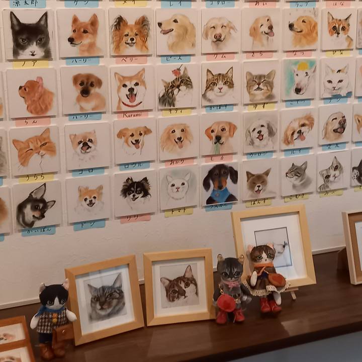 54e096b1 eee6 4d62 85a9 183ca33af9d9 1665443376002