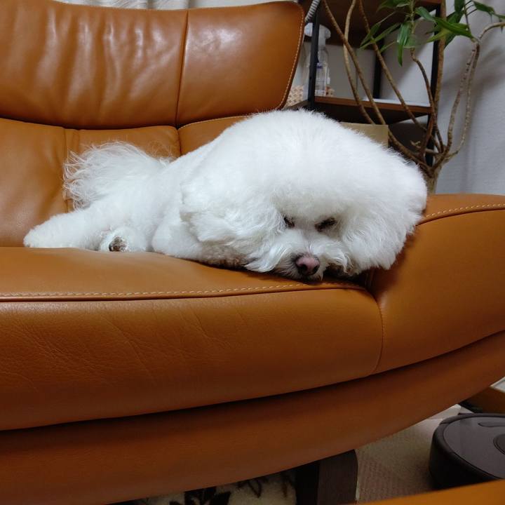 54e0d44c ebcb 4875 8063 9723ca1815dd 1617168122021