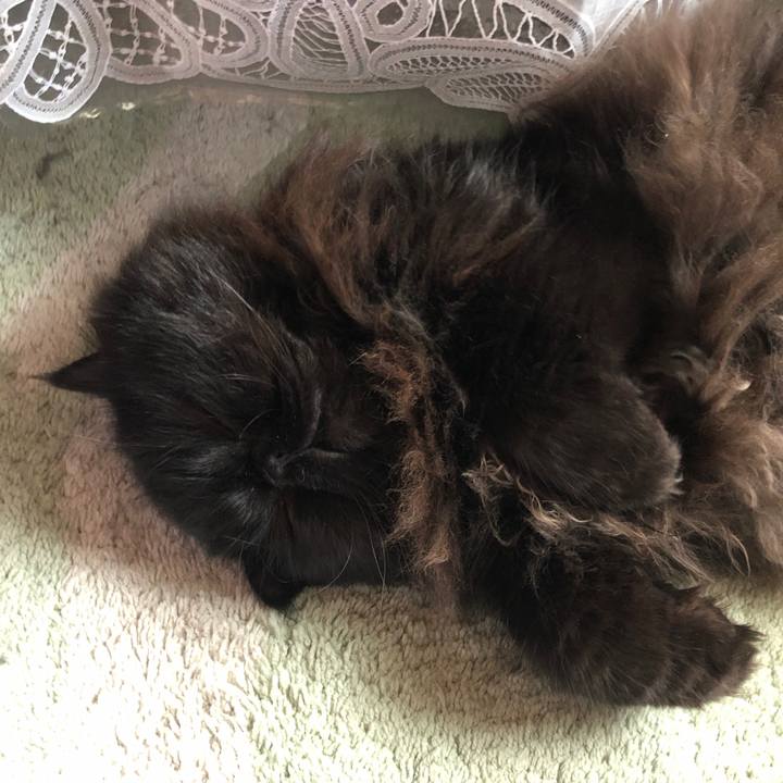 54e0d6e8 7089 4c99 ba42 69b29be22563 1551509152133