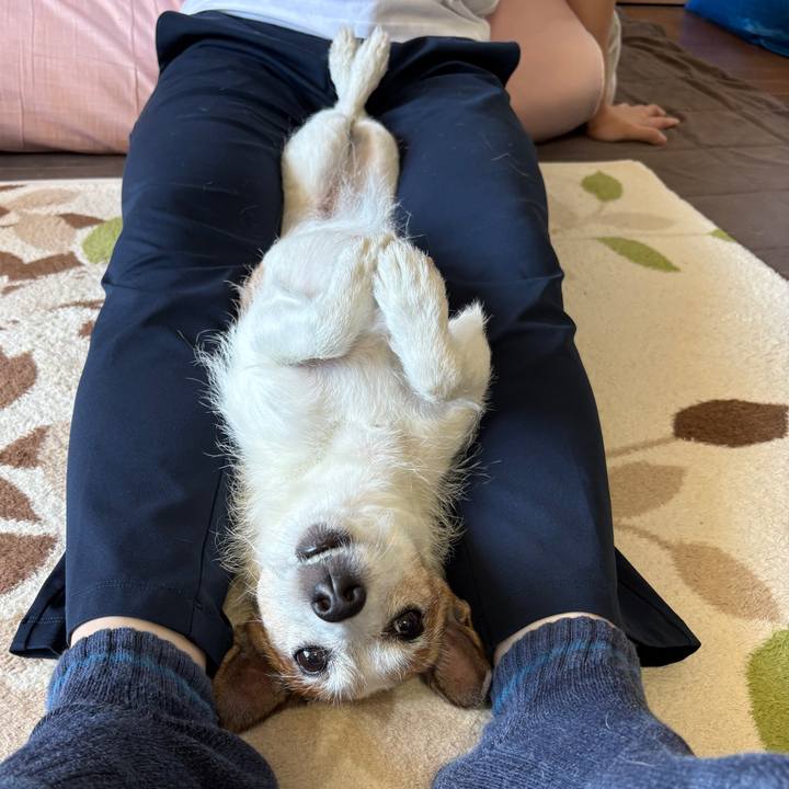 54e0db94 1e70 496a 85a1 1e840b333b1d 1752975590353