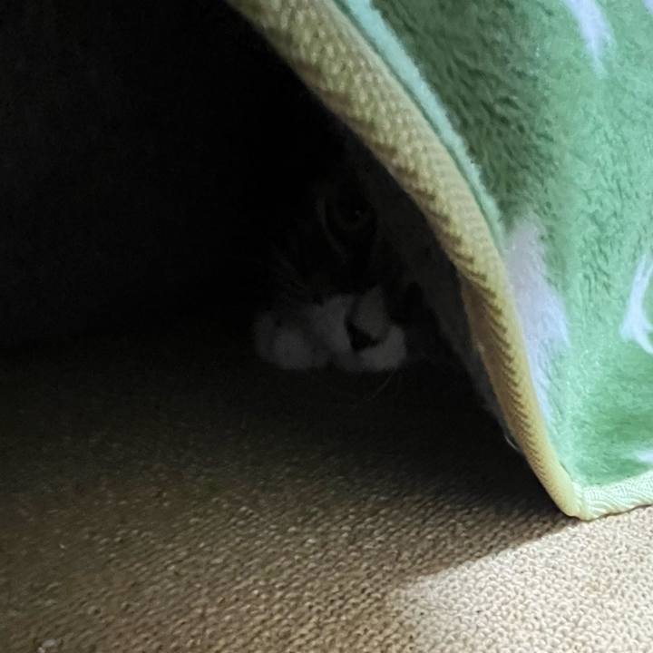 54e10221 3de0 41e2 a4fc 4b02a1e890de 1766534552508