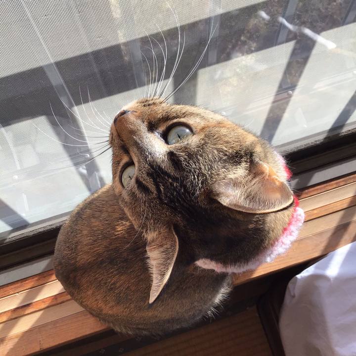 54e15024 64c4 4b1e a155 37423c9cb4e2 1611016219330