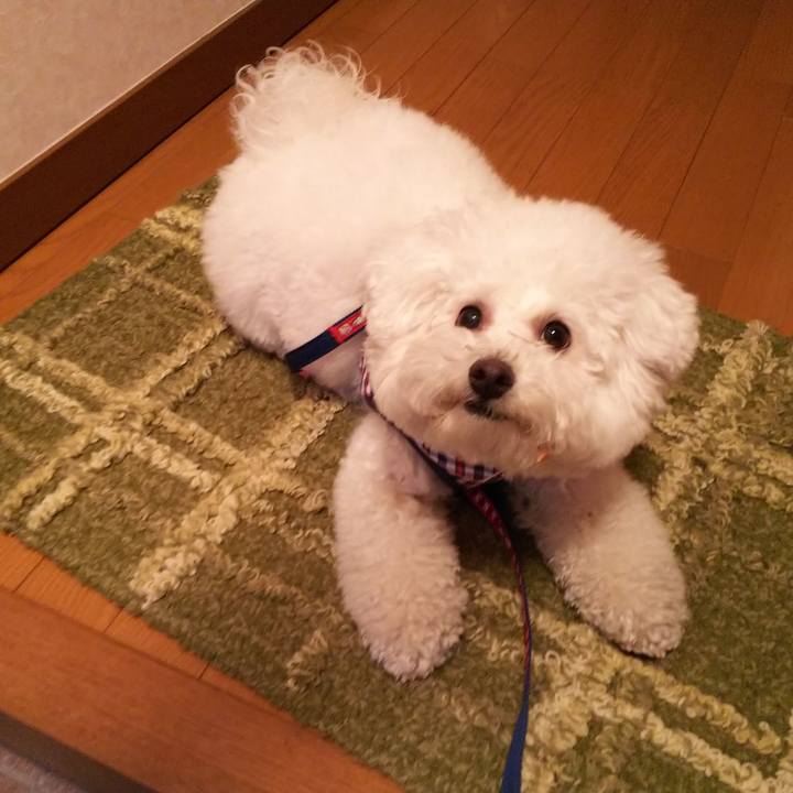 54e172b6 bb7c 4a42 ac65 de9ce9b9bdac 1523420184313