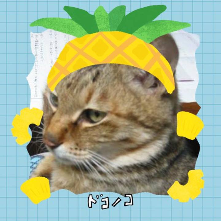 54e174f1 d7aa 4520 9539 3c64f57b4872 1783304305485