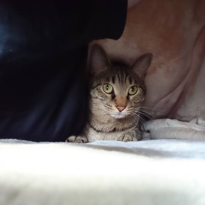 54e17df2 92c2 4e4d 893f 2b8129c95b81 1523665007521