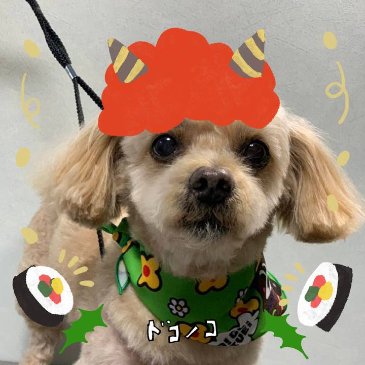 54e186fa a5de 4283 bcfd 5c5711e39791 1706951435662