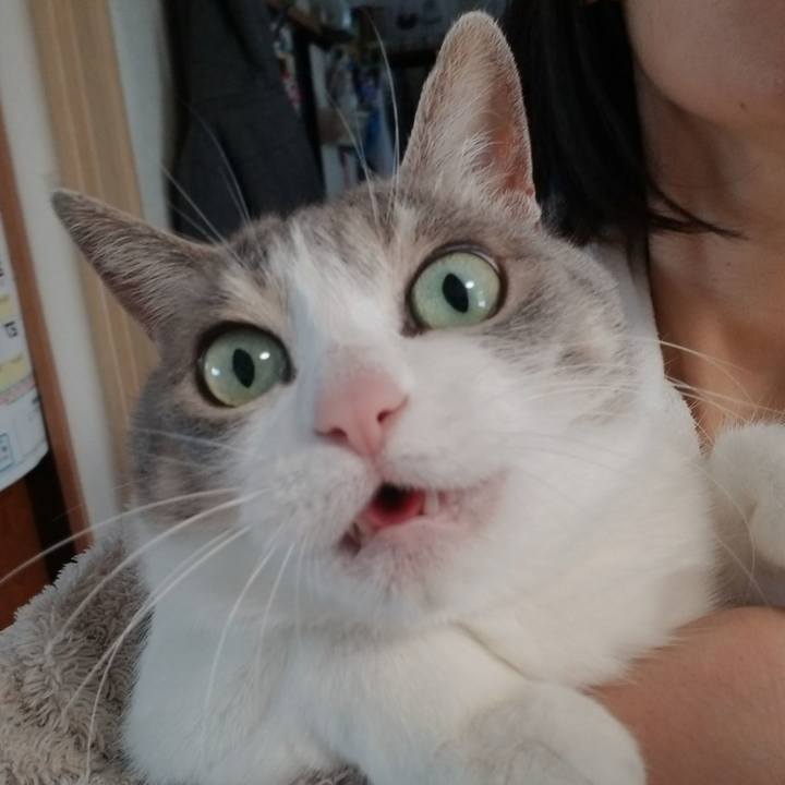 54e19d31 e2b7 4af9 9f1a fd6216295e07 1677465290235