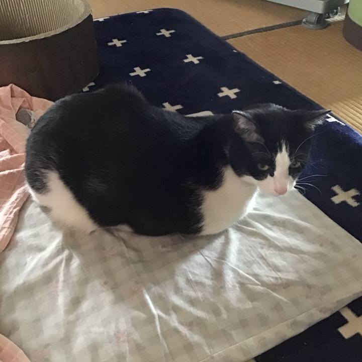 54e1c2c0 3e0a 46fd b79e bc91e6e82a2a 1714125041706