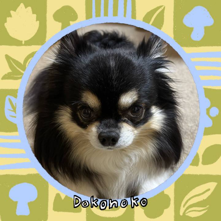 54e1f9bb 5416 42c9 9d87 5930e2af0e01 1762827124469