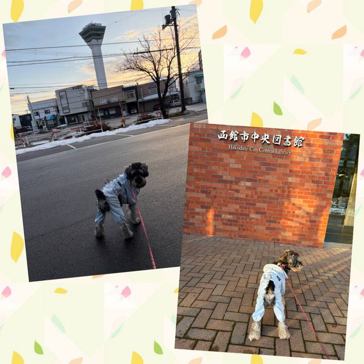 54e1fd62 bf7e 420c 9c94 0f57df92001e 1765623618403