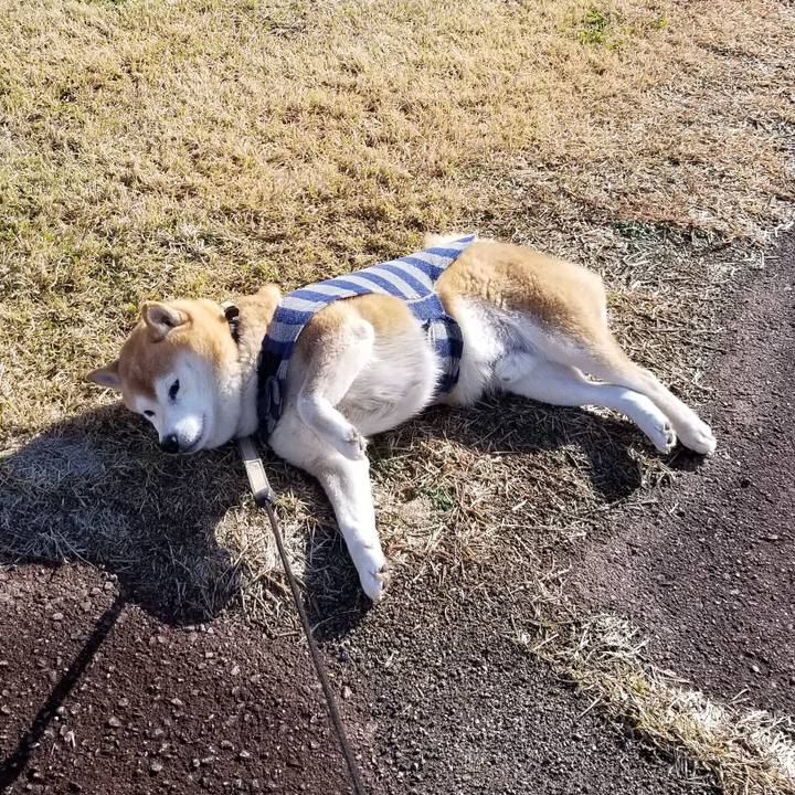 54e204e2 e4fb 4c84 a5d6 d32011ee583b 1670474437313