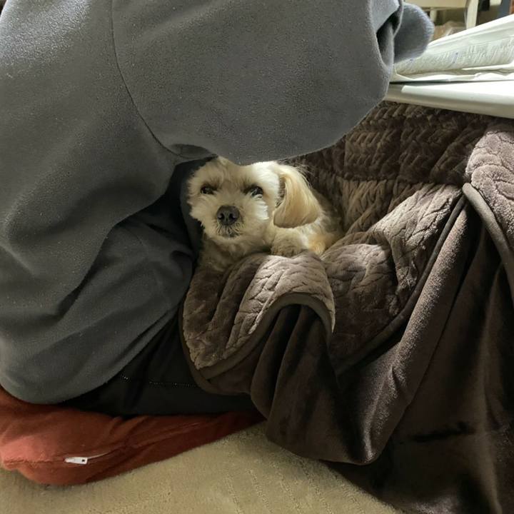 54e22a03 aa9f 48bd 888e 5d8a08f74e1b 1609047222431