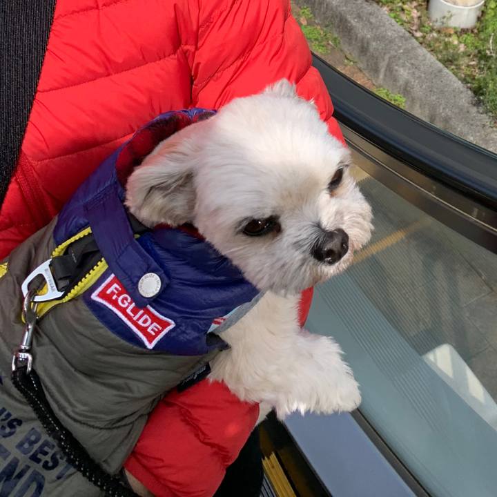 54e25f21 5033 4f46 9da4 4fdb487221a7 1587387318821