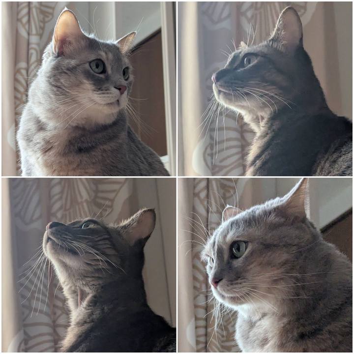 54e28838 324e 436e 9222 fd0a54122fa7 1734678196786