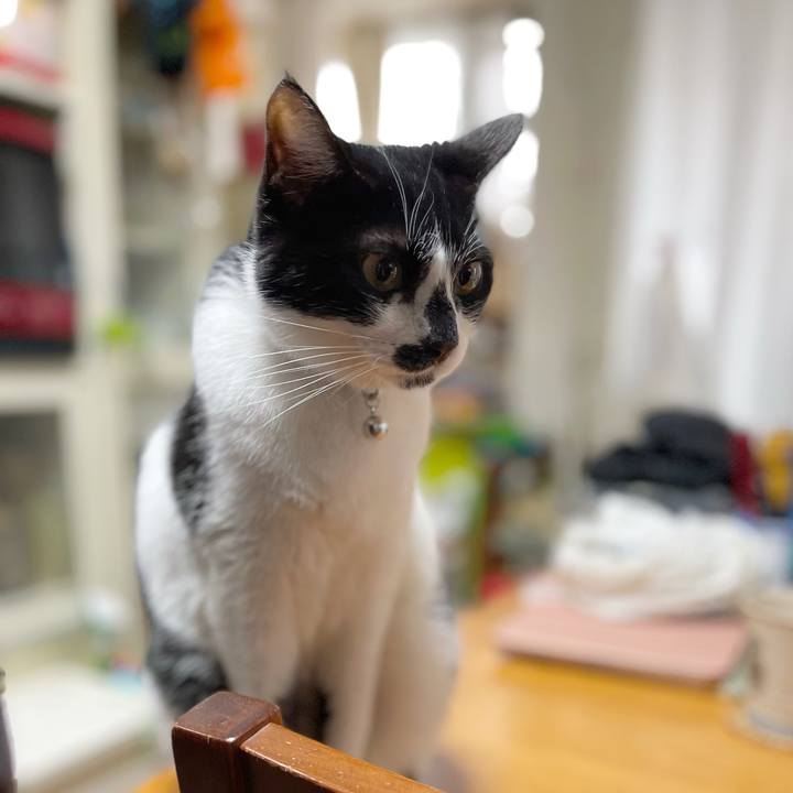 54e294d8 c746 440f 8049 d2518ace8dc1 1768102472339