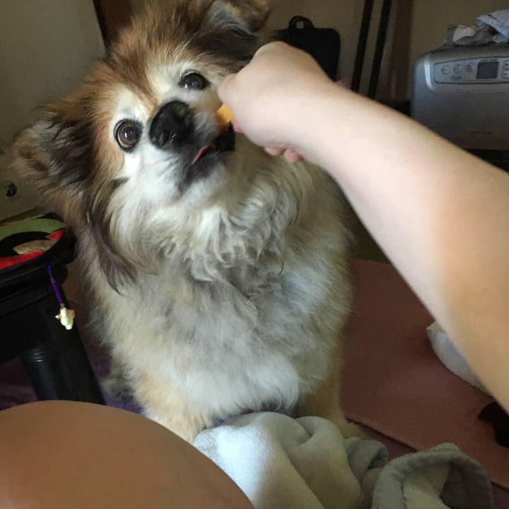 54e2dda4 685b 4e0e 9d3b 45920604fa5a 1556857935596