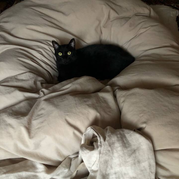 54e2ef81 6d2c 427d 8b46 83a56d88d3e0 1573224269906