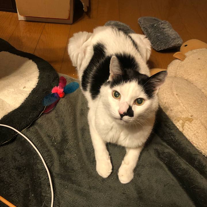 54e2f7a3 0931 4956 96c7 17c12a832b66 1641714901517