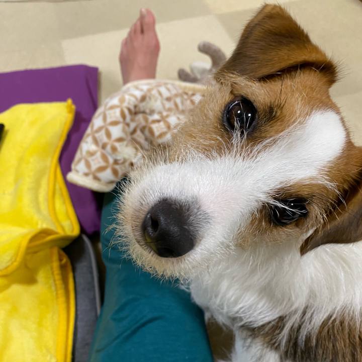 54e33cd9 a60c 4d5a bf75 fd3cb2f3f7a3 1660221418372