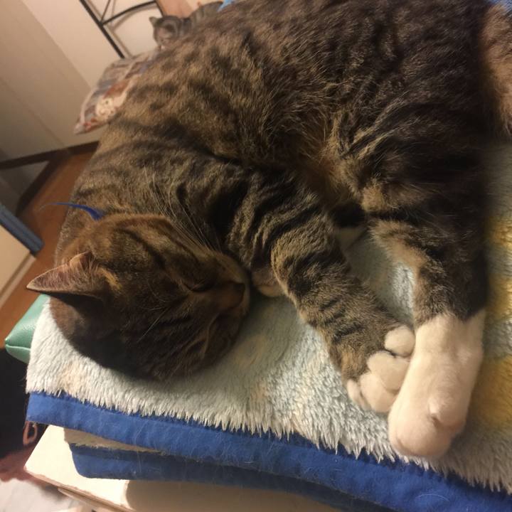 54e3401b c5cf 4af2 8f4e 71bdaeeca8cb 1561984171094