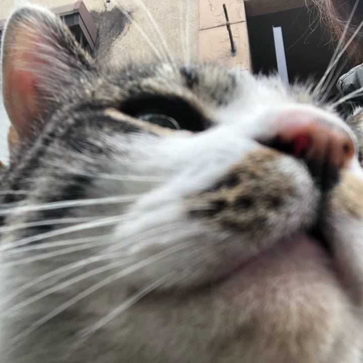 54e3536a dd54 4db9 8e07 42243bfef4dc 1581680040976