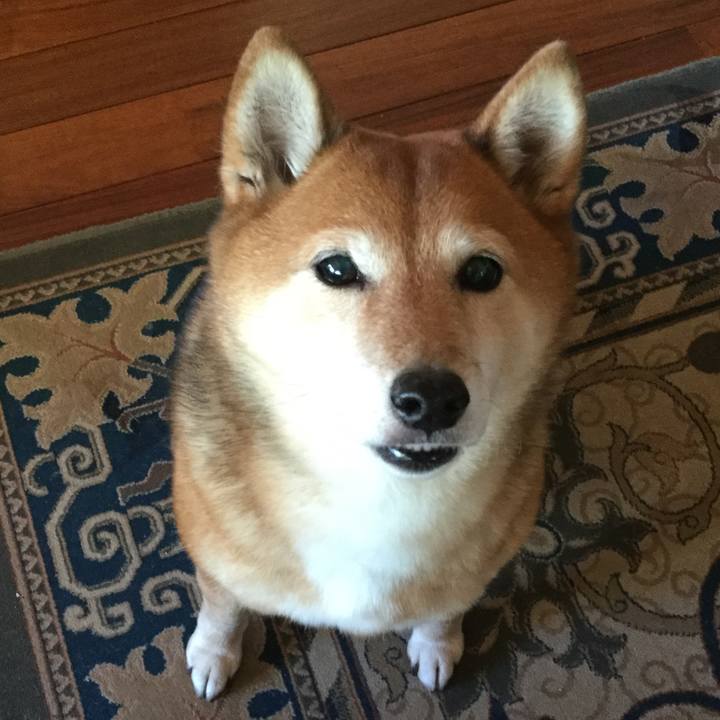 54e35610 a20e 48d3 af9e 4e4c9b42fafd 1577439814871