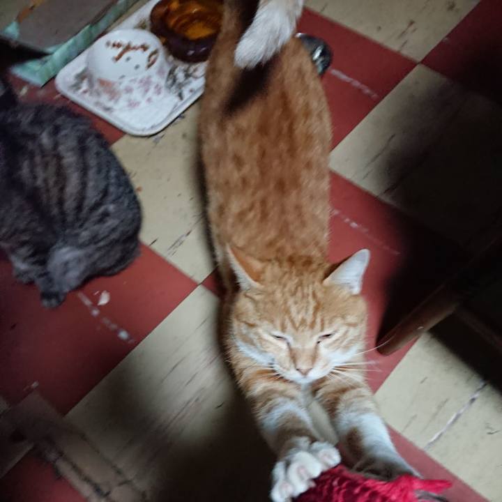 54e368a6 ad0d 4b12 92ca 2330166fafaf 1569096519387