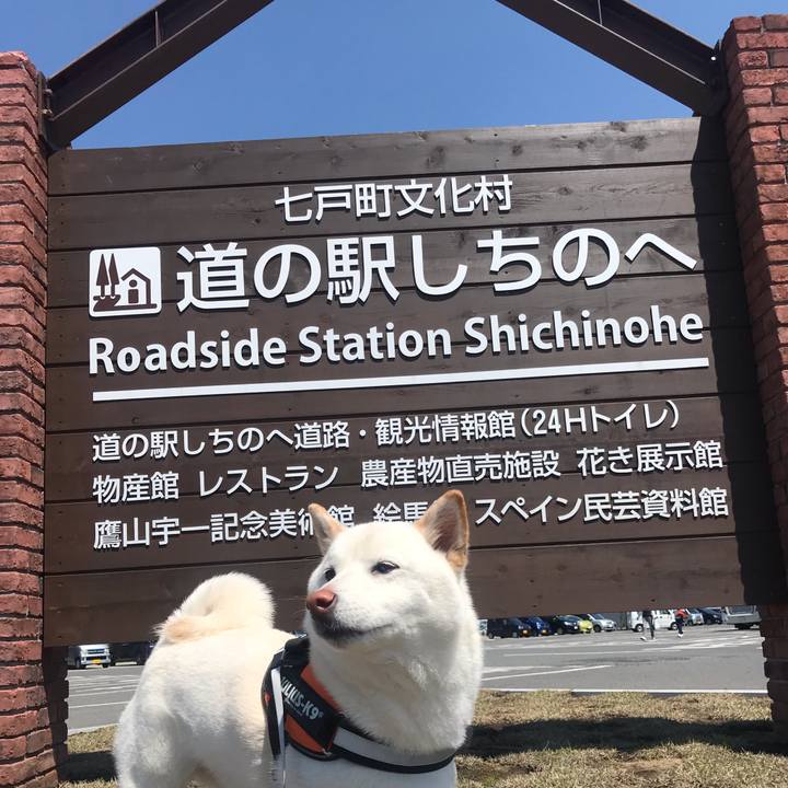 54e368b6 0731 43db 85b9 9dbe195740e9 1556514404051