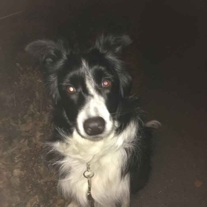 54e36dbd 8ba4 4a66 a9cd 27297a79d91b 1515539601348