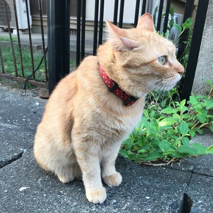 54e375e7 3270 436d 9155 797b4daa571d 1532772402590