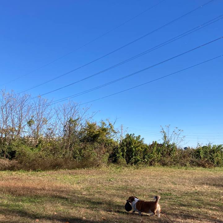 54e3a29b d0cc 4121 ac0f def9cbe74508 1764840610918