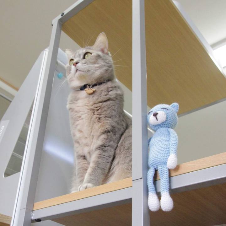 54e42e51 ac8f 43bf 91c2 357e7205c8ec 1574755264579