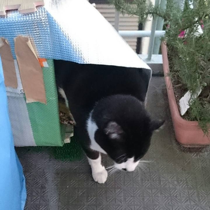 54e461d6 a3ad 4512 a7da 2aaea6799dd9 1511306070202