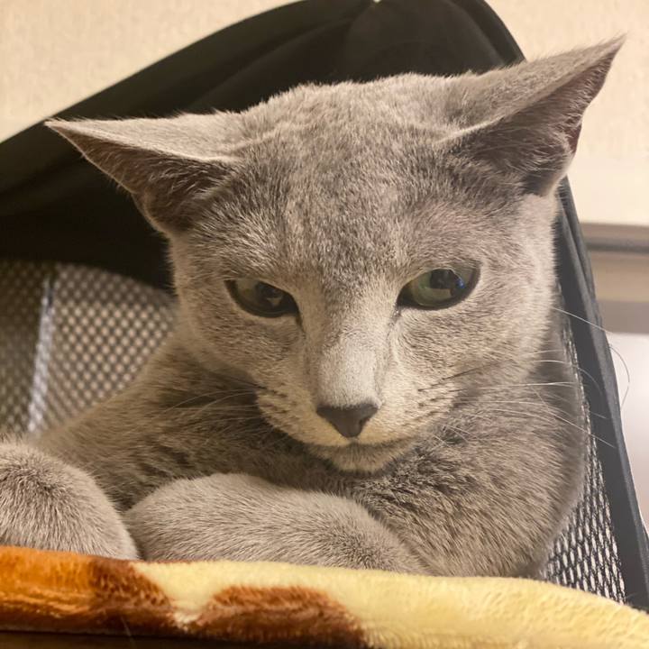 54e49075 089b 4130 81f6 f59f75092b50 1617361405633