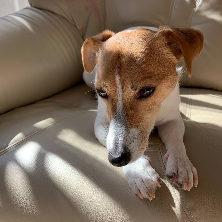 54e4983f 5de9 4e5e b61d 5326dc31e0db 1583888241394