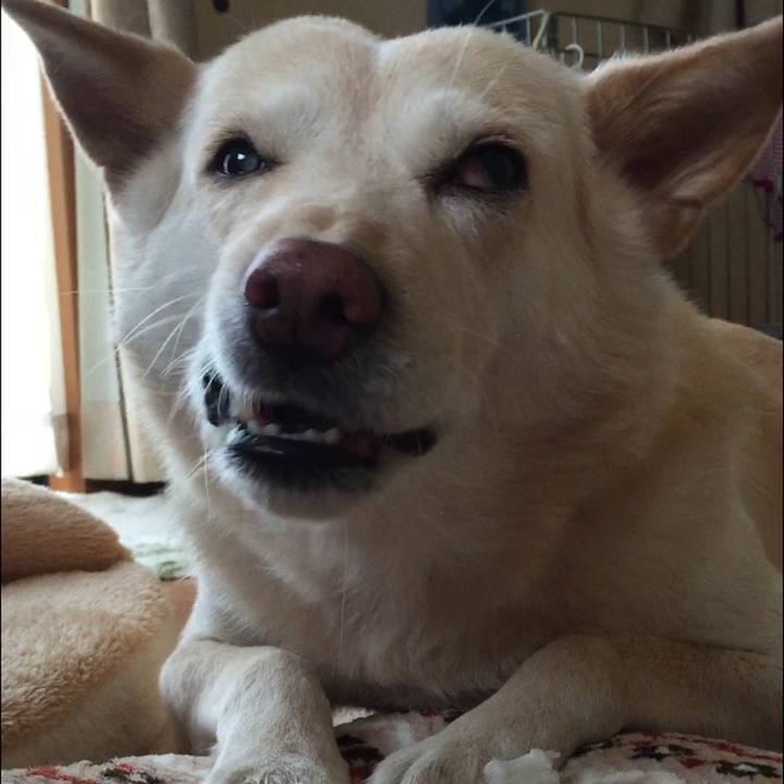 54e4a9c2 f805 4246 b1b4 94544524931d 1520059848073