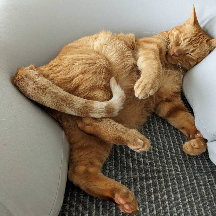 54e4af46 d0e5 46b7 aa4c d95bc1339095 1673670161560