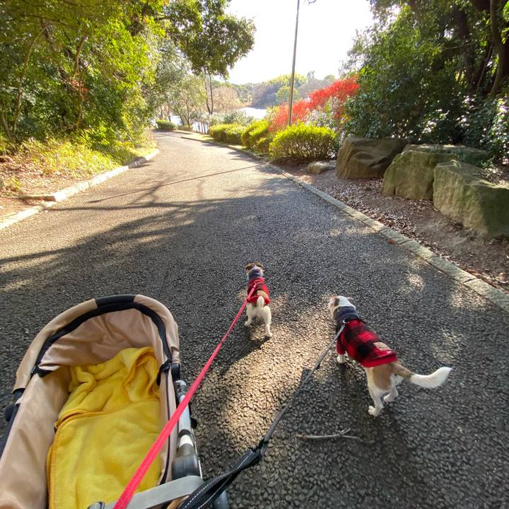 54e4e850 67c8 4e69 8e32 84572aaf6a3a 1640930598936